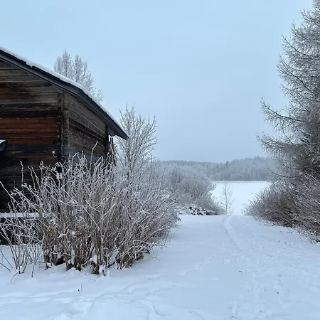 Chalet Old School House Tahko 6km, Sauna, Avanto In Winter, In Summer *