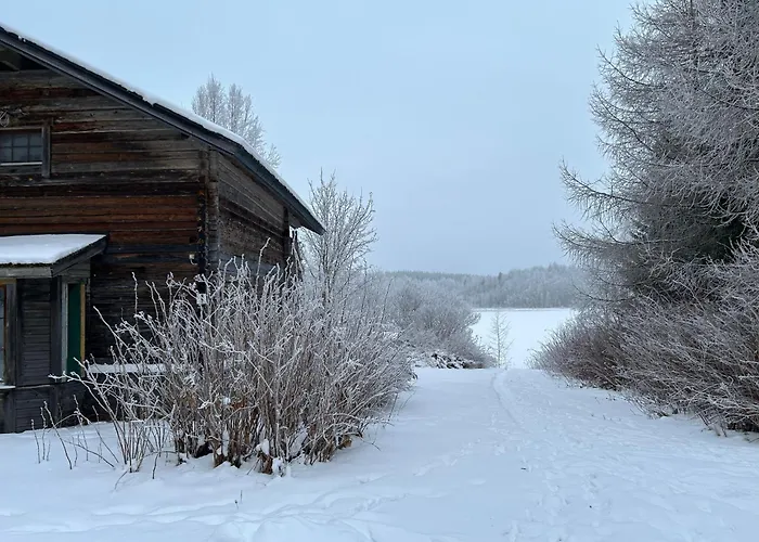 Шале Old School House Tahko 6km, Sauna, Avanto In Winter, In Summer *