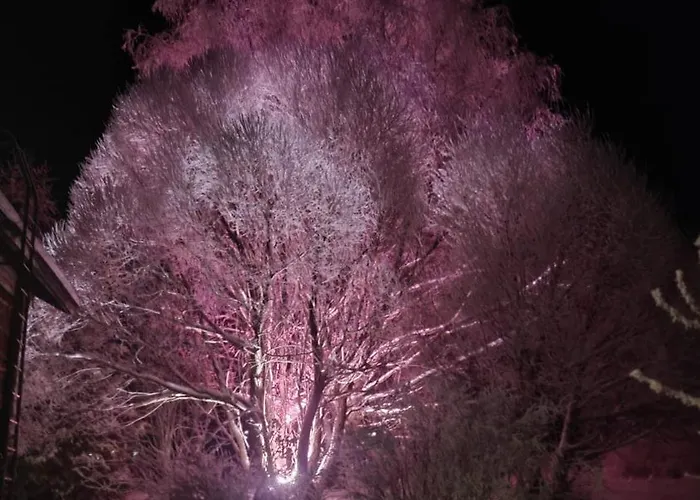 Old School House Tahko 6km, Sauna, Avanto In Winter, In Summer Шале Куопио